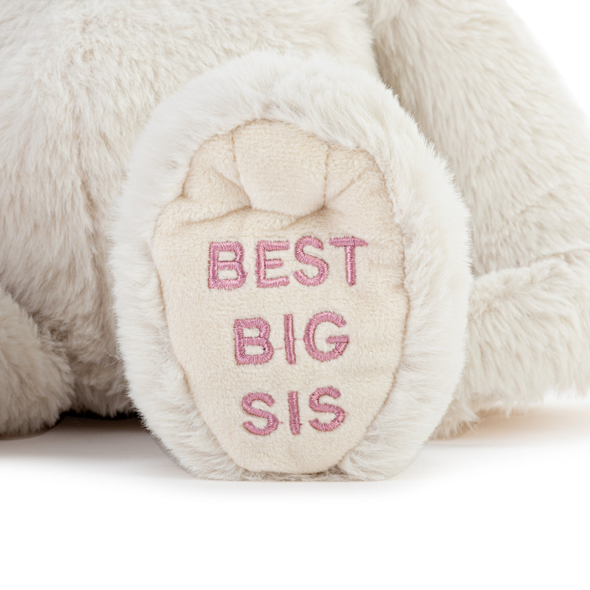 Best Big Sister Plush Dog 16" A Gift From the New Kid